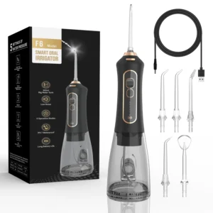 Eisler F6 Dental Teeth Cleaning Waterpick Smart Water Flosser Cordless Ipx7 Waterproof Oral Irrigator Water Flosser Pick Pack of 10