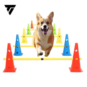 Custom Made Pet Obstacle SET Jump Hoop Pole Doggie Sports Agility Training Equipment for Dogs Pack of 2