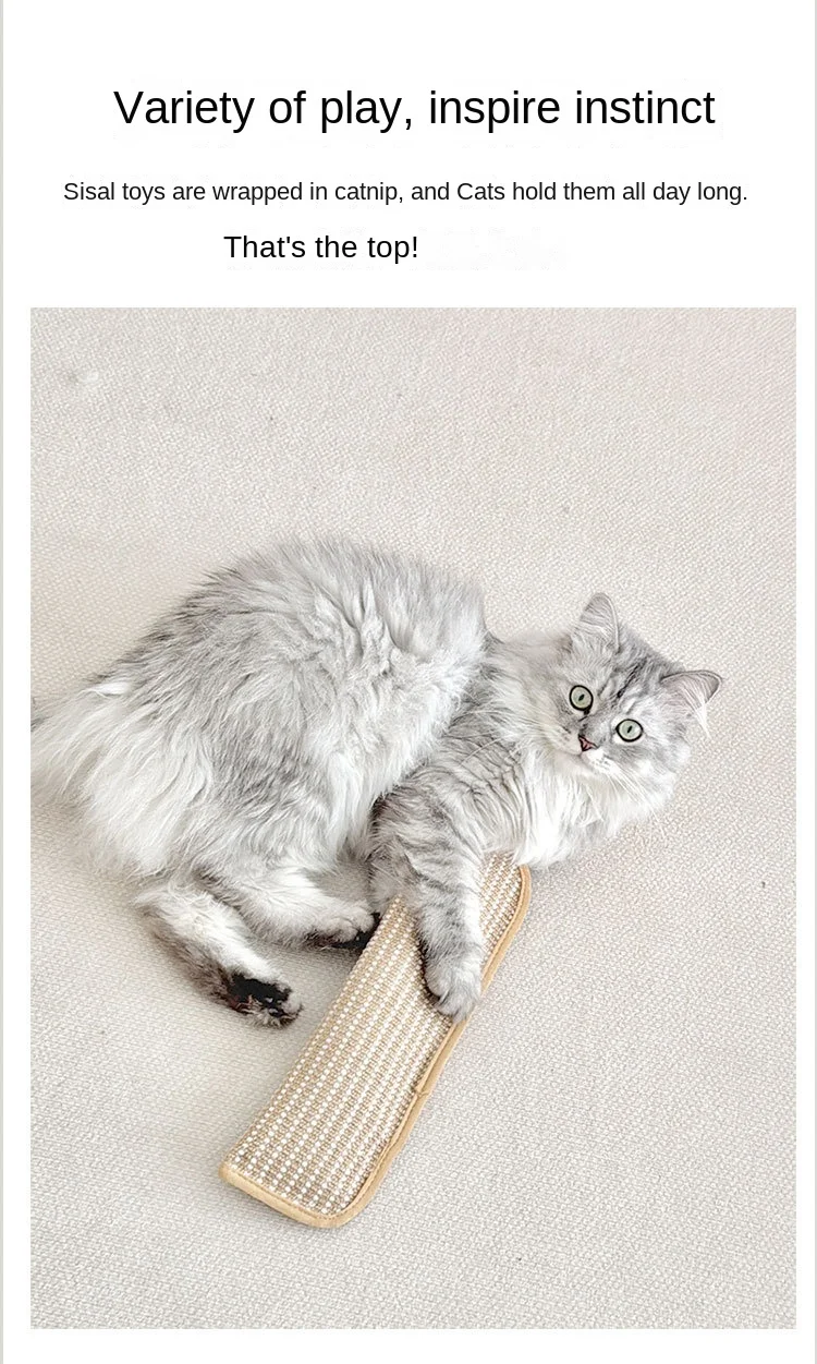 FE Eco-Friendly Hemp Cat Scratching Mat Modern Sisal Pet Pillow Mint Color Chew Toy for Daily Self-Entertainment Pet Pillow Toys Pack of 20 - Image 2