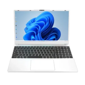 Manufacture 15.6 Inch AMD 3020E CPU 8GB DDR4 RAM 256GB M.2 SSD Business New All-in-One PC Laptop