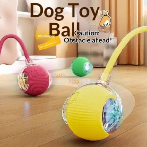 Smart Automatic Rolling Ball Durable Cat Toy for Cats & Dogs Bite Resistant Plastic Box Pet Toy Pack of 10