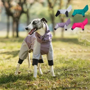 Luxury Four-legged Dog Raincoat Waterproof Pet Products for Outside Fashionable Dog Accessories Clothes for All Year Wear Pack of 5