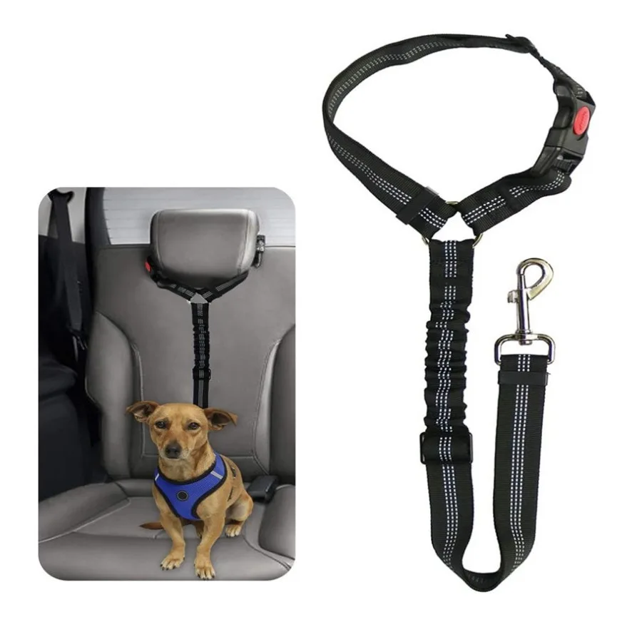 Reflective Dog Safety Belt Retractable Elastic Rope OEM ODM Supplier Luminous Cat Traction Rope Customizable Pet Accessories Pack of 3 - Image 4