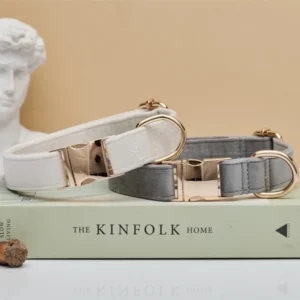 Personalize Dog Collar with Laser Engraving Soft Velvet, Trending Designs Unique Pet Accessories Pack of 2