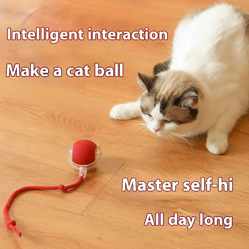 Wholesales Intelligent Interactive Cat Teaser Ball Self-Rotating Rolling Ball for Indoor Cats Training and Playing Pack of 50 - Image 4