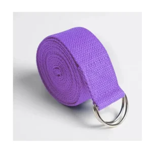 Manufacturer Wholesale Custom Metal D Ring Sport Exercise Yoga Stretch Strap Belt Loop Band Sport Woman