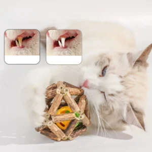 Organic Natural Low MOQ Cat Chew Toys Mint Catnip Silvervine Matatabi Teeth Cleaning Relieve Anxiety Cat Interactive Toys
