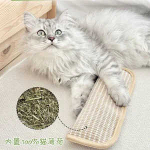 Fine Erta Catnip Throw Pillows for Self-entertainment and Boredom, Sisal cat Scratch Pads, Catnip Toys, Pet Toys, Pet Supplies Pack of 20