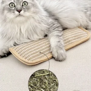 Wholesale Catnip Throw Pillows for Self-entertainment and Boredom, Sisal cat Scratch Pads, Catnip Toys, Pet Toys, Pet Supplies Pack of 20