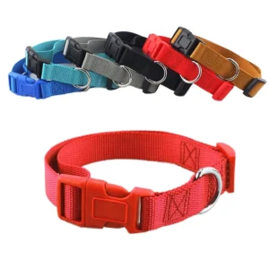 Factory Direct Luxury Classic Nylon Dog Collar Quick Release Neck Strap Soft PET Collar with Lace Decoration