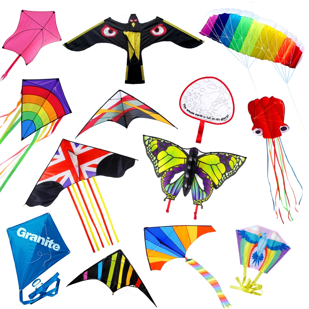 Outdoor Sport Flying Chinese Kites Custom Fiberglass Eagle Kite with Delta Shape Factory Wholesale Pack of 100