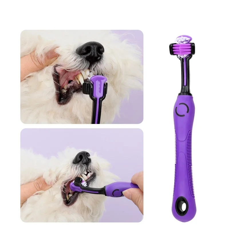 Plastic De-shedding Beauty Complete Pet Grooming Set 9PCS Professional High Quality PP Material Dog Grooming Kit & Scissors Set - Image 2