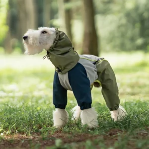 Upscale Four-legged Dog Raincoat Color Matching Waterproof Pet Products for Outwear Fashionable Dog Accessories in Stocked Pack of 2