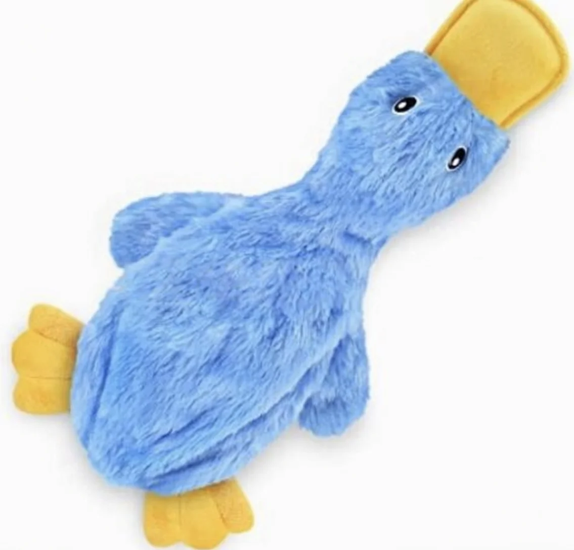 Wholesale Dog Toy Duck Pet Interactive Movement Toys Cute No Stuffing Duck with Soft Squeaker Pack of 5