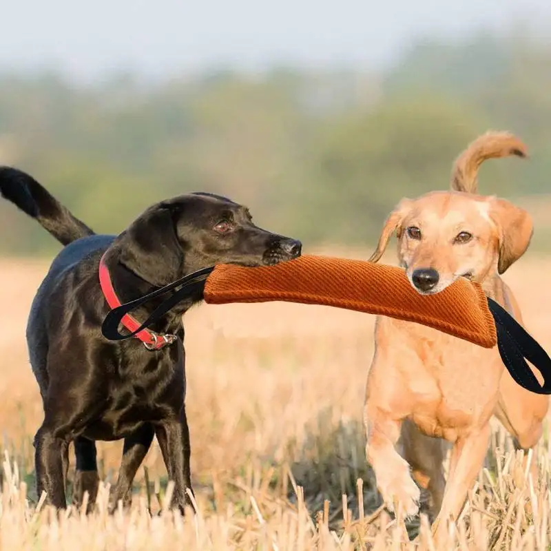 Dropshipping Heavy Duty Bite-Resistant Outdoor Dog Bite Stick Tear-resistant Interactive Durable Training Dog Training Toy Pack of 2 - Image 2
