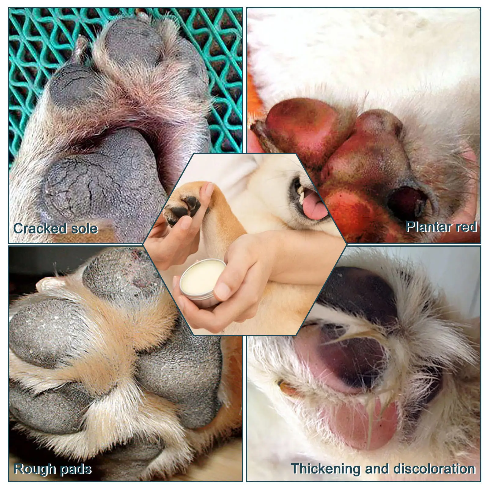 Custom Logo Organic Vegan Dogs Cats Paw Hydrates and Damaged Protects Repairing Cream Ointment Soother Nose Paw Balm for Pets Pack of 10 - Image 4