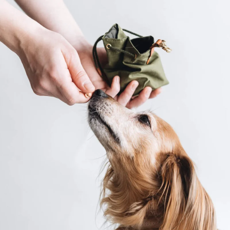 Portable Pet Snack Bag Outdoor Dog Food Pouch Canvas Dog Food Storage Bag Drawstring Dog Treat Training Bag Pack of 2 - Image 3