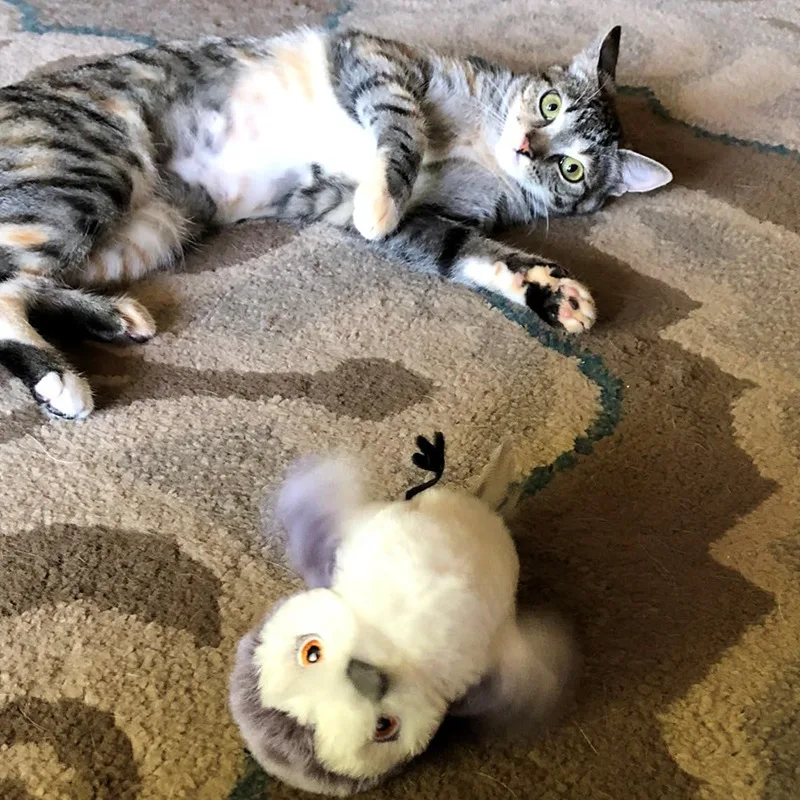 Simulation Bird Touch Sensor Electric Cat Toy with Vibration Wings & Sound Simulation Smart Pet Teaser Pack of 10 - Image 4