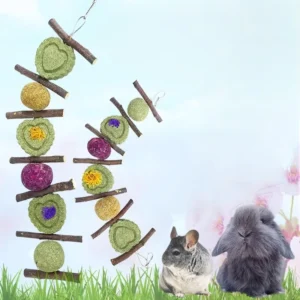 Apple Branch Grass Cake String Grass Ball Rabbit Molar Toy Natural Hay Teeth Cleaning Handmade Small Animal Chew Toy ForTotoro Pack of 2