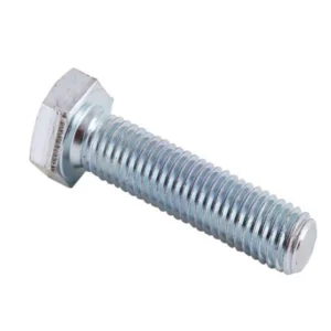 Bolts Nuts Washers HEXS1030 HEX SCW M10X30