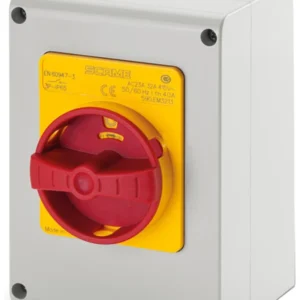 Scame Isolator TP Enc 20A