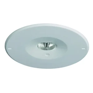 Eaton Micropoint 2 Self-Test Safety Luminaire 3Hour Maintained Recessed Mount