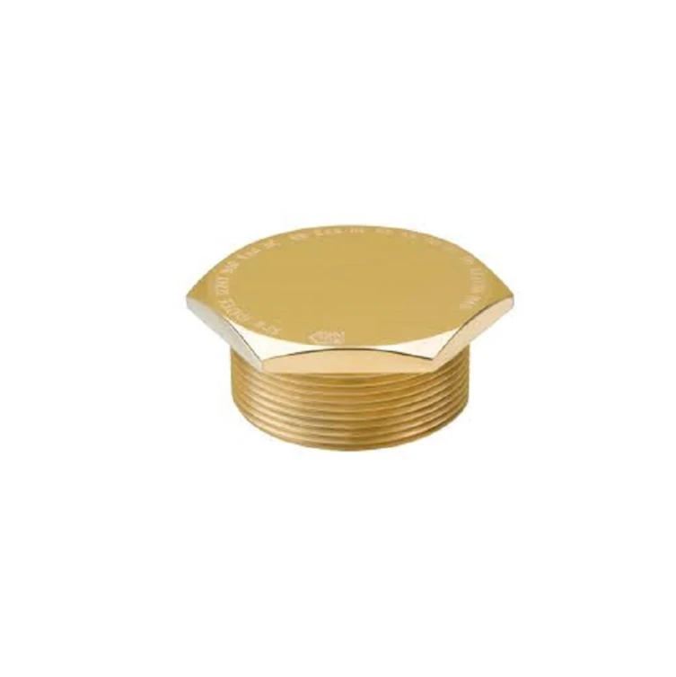 Eaton CKA1200A M20 BRASS PLUG EEXD ( TYPE HEX HEAD ) - Image 2