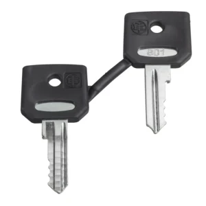 Schneider Electric Set of 2 Keys 421E
