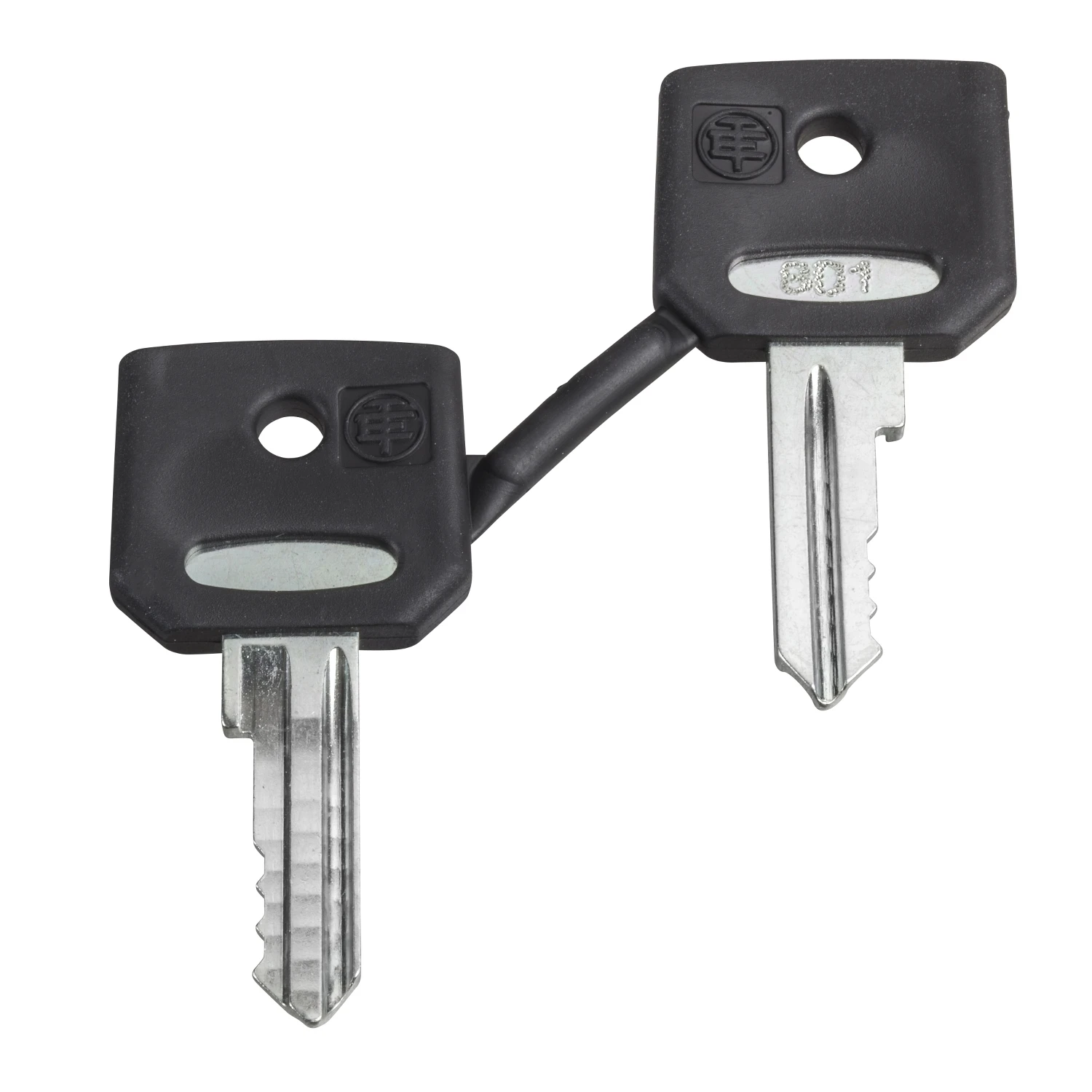 Schneider Electric Set of 2 Keys 421E