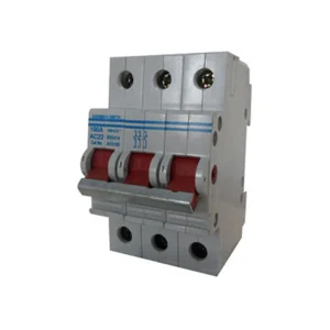 Dorman Smith Switch Disconnector TP For Av Series 100A