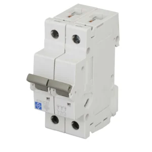 Lewden MCB DP Type C 63A 10kA