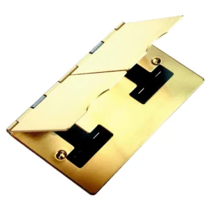 Hamilton Socket 2 Gang UnSwitched Floor 13A 94X144mm Satin Brass Black Insert