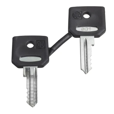 Schneider Electric Set of 2 Keys 520E Black - Image 4