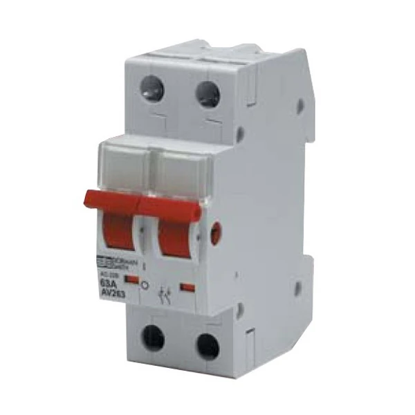 Dorman Smith Switch Disconnector DP For Av Series 100A - Image 2