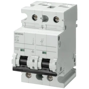Siemens MCB Heavy Duty DP Type D 80A 10Ka