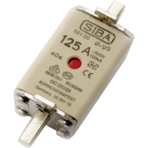 Europa NH00 gL (General Line) Fuse 500V 125A