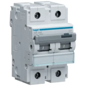 Hager MCB DP Type C 100A 15Ka 3 Module