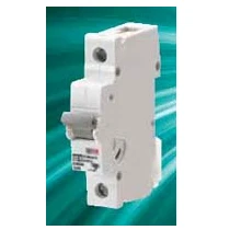 Dorman Smith MCB T Series Type D SP 50A