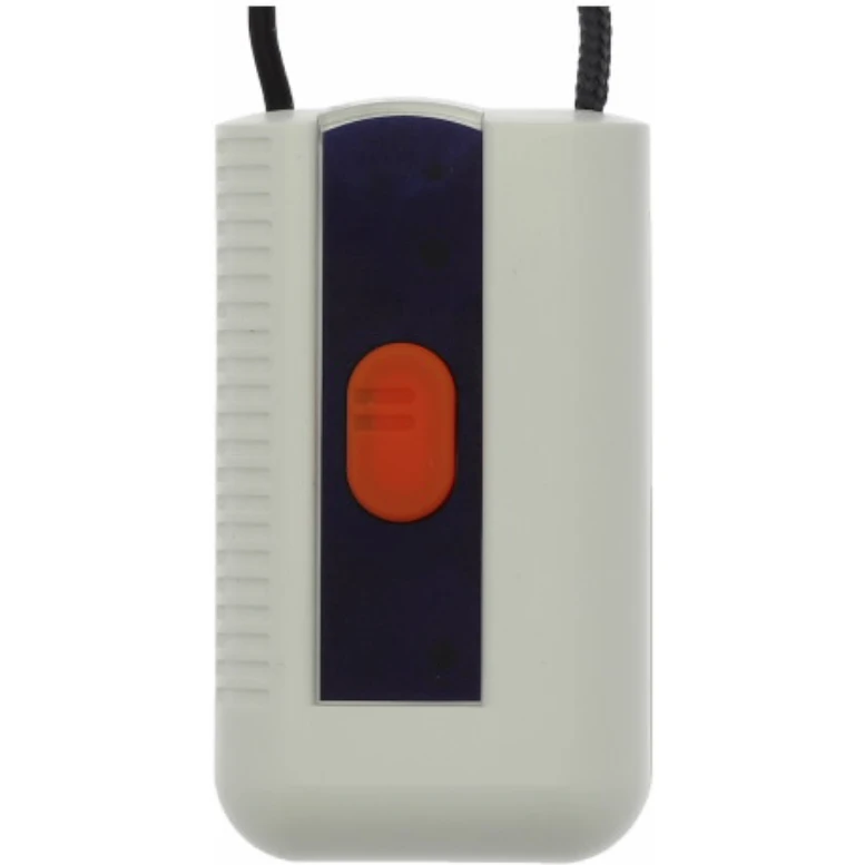 Eaton Neck Pendant Trans