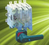 Dorman Smith Fuse Combination Switch Skeleton Tp&N W/O Fuses 63A