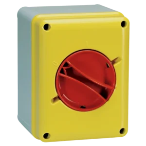 Lewden Isolator Switch TP 63A