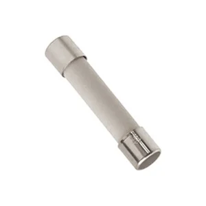 Europa 10A 250V 5 x 20mm (T) Slow Blow Ceramic Miniature Fuse