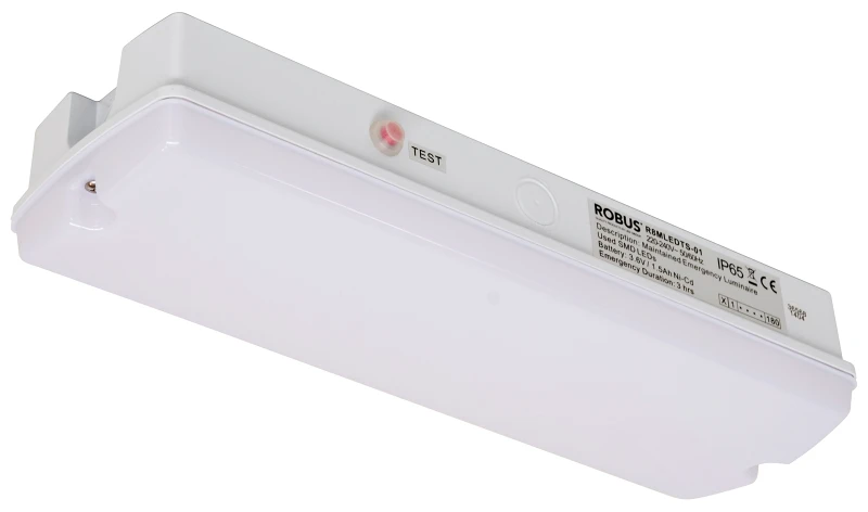 Robus BULKHEAD 4W LED, IP65, 352mm, White, with test switch