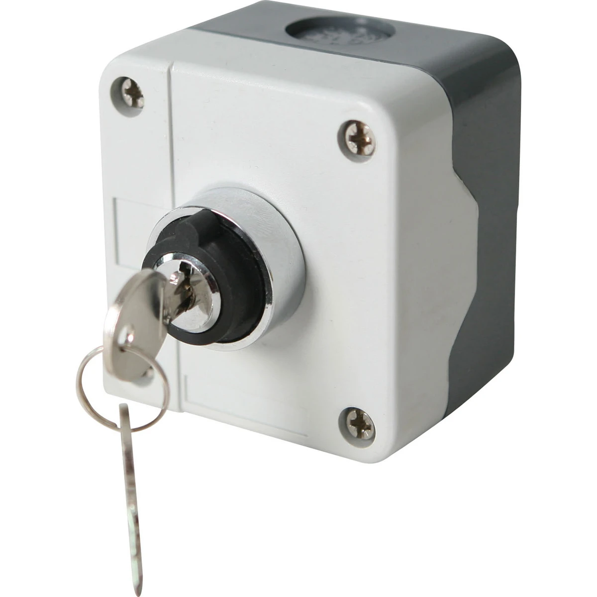 Newlec Keyswitch Push Button Enclosed Station 2 Position IP65 Grey